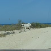 Baja2011 637 : Baja2011